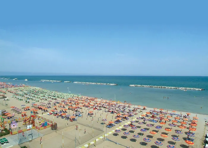 Zeus Rimini